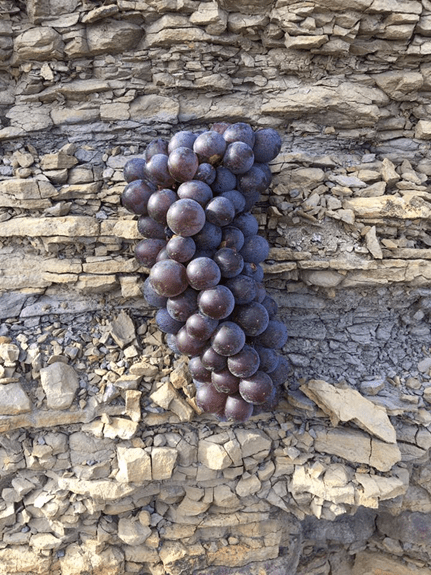 Pinot grigio Doc Collio